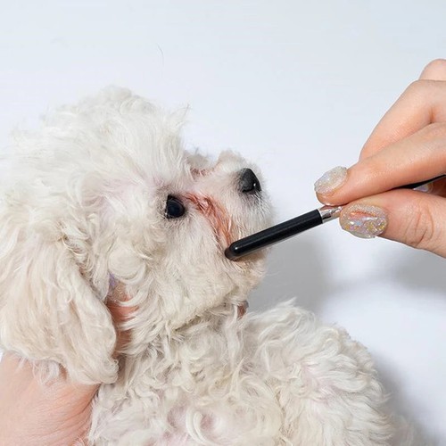 Kit pulizia occhi viso cane - kit,